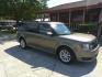 2014 GOLD FORD FLEX SE (2FMGK5B83EB) , located at 10405 Abercorn Street, Savannah, GA, 31419, (912) 921-8965, 31.988262, -81.131760 - Photo#2